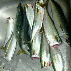 下火になってきました