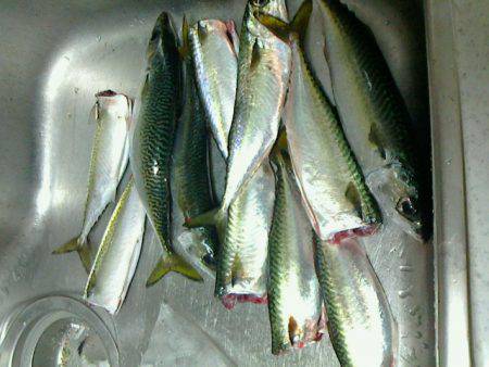 下火になってきました