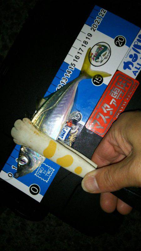 友人とメバリング&アジング