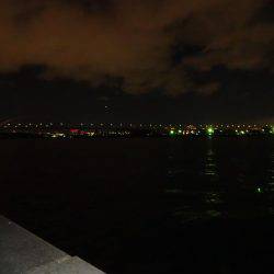 夕方も西宮行って来ました。