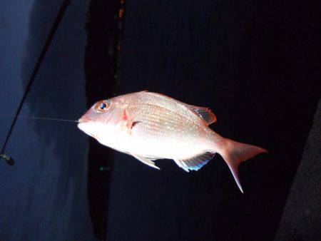 釣り旅行　１日目　５種目達成！