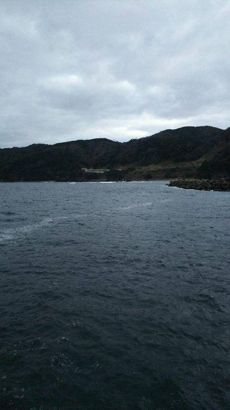 アジング  メバリング？