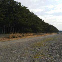 本年初ショアジギング