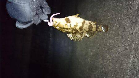 ガシリング2017年1月23日