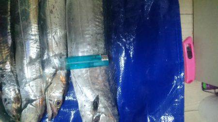 ワインドまだまだっ