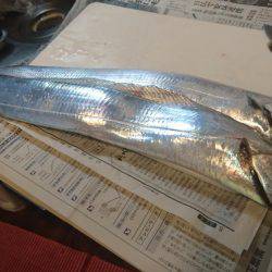 寒いなかでも初釣り