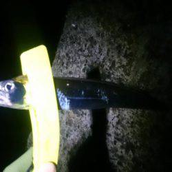 かなり減りました。