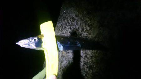 かなり減りました。