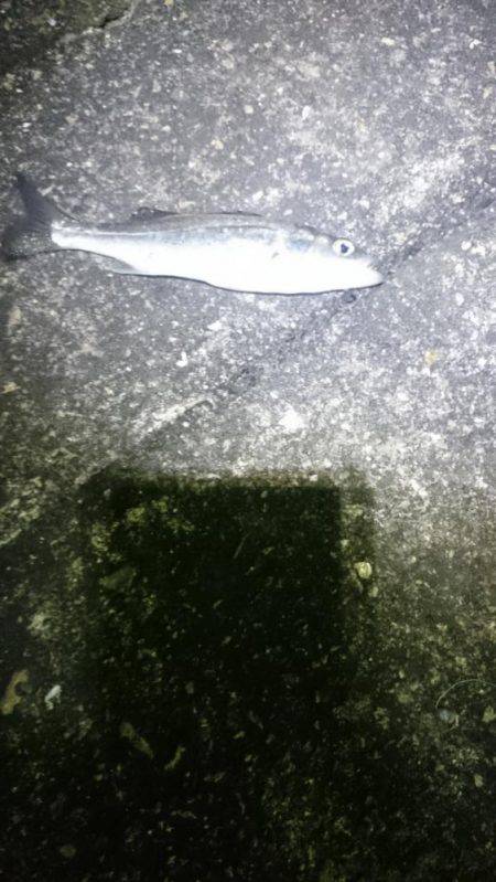 渋かったです。