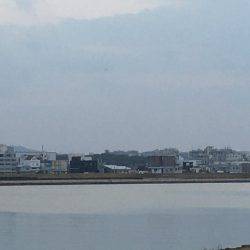 フラフラっとフィッシュ