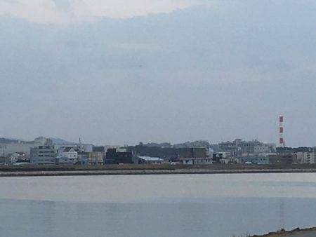 フラフラっとフィッシュ