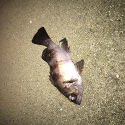 寒さに負けません