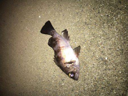 寒さに負けません