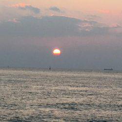 落ちギスも終わり?