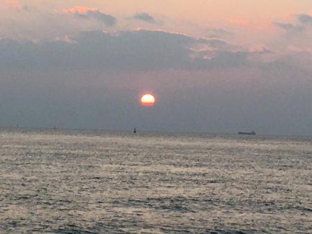 落ちギスも終わり?