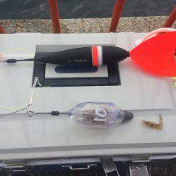 今日から戎さんやん(投げ練10日目)