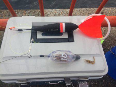 今日から戎さんやん(投げ練10日目)