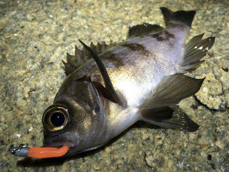 確実に鈍っている！