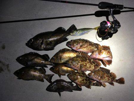 淡路の魚は優しかった。