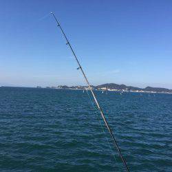 今年は少ない？