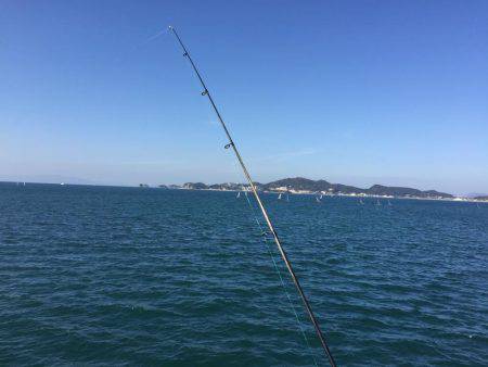 今年は少ない？