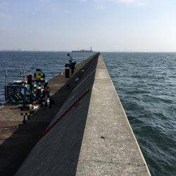 ショアジギング