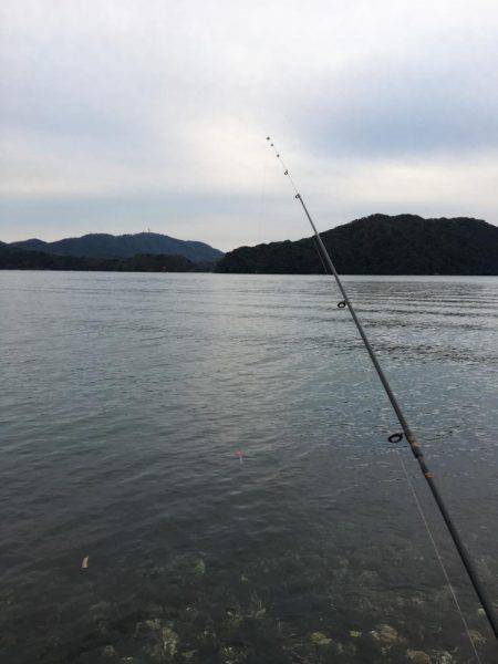 竿初め尺メバル！