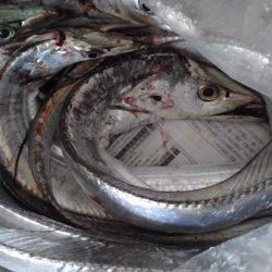 まだまだ行けます