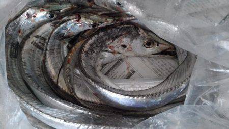 まだまだ行けます