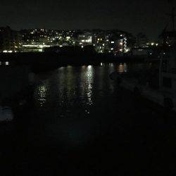 メバリングするもガシラのみ