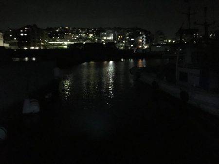 メバリングするもガシラのみ