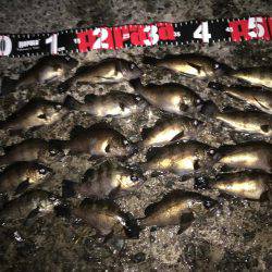 数は出たものの型がのびず