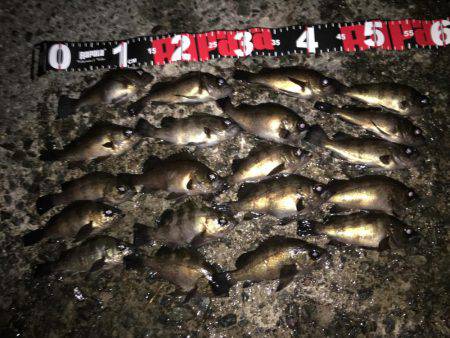 数は出たものの型がのびず