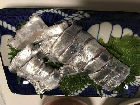 太刀魚  ドラゴン連発 中潮   仙正丸