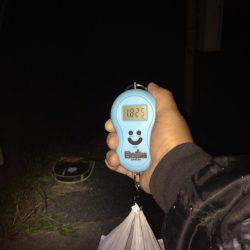 謹賀新年あけましておめでとうございます