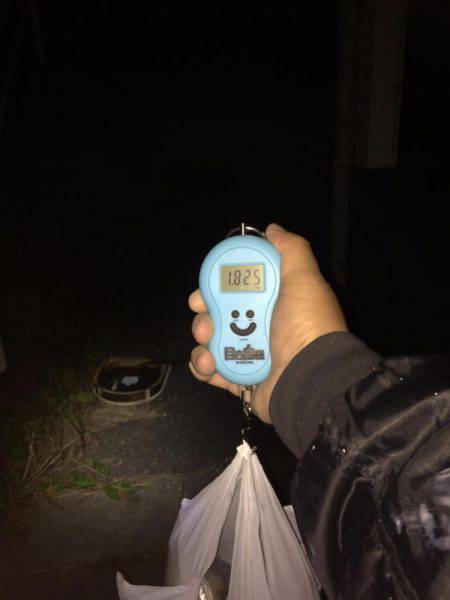 謹賀新年あけましておめでとうございます