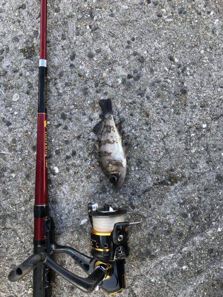 初釣りはイマイチ