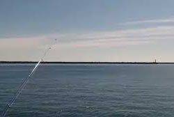 サゴシ 日和 新宮港にて