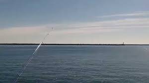 サゴシ 日和 新宮港にて