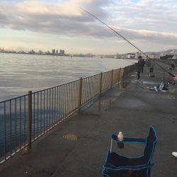 釣り始めタチウオ