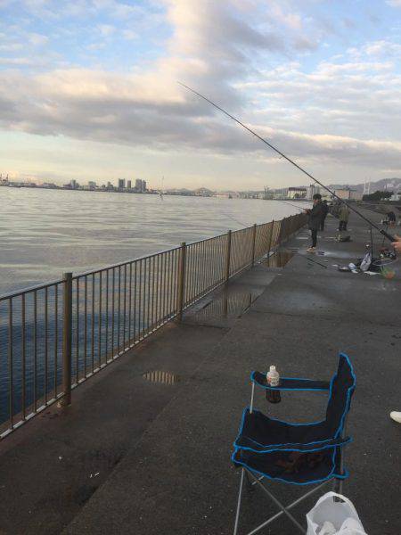 釣り始めタチウオ