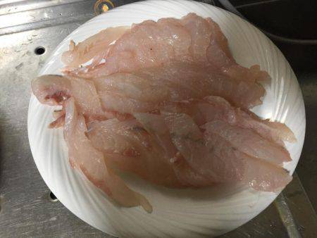 今日はホウボウ