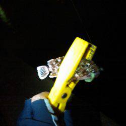 アジングで色々