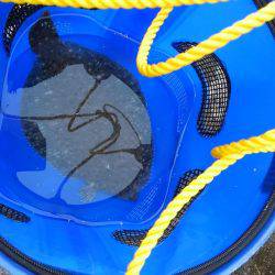 カレイリベンジ