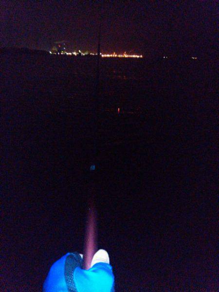 チヌ狙うもガシラのみ