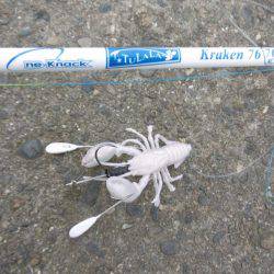 冬タコのわりに小ぶりです