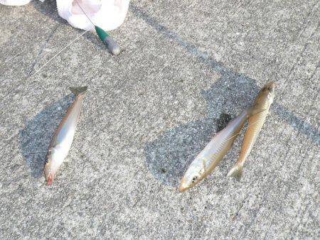 初釣行でダブル、トリプルと最高の釣果でした