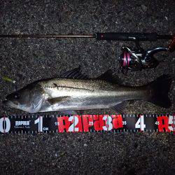 風＆ウネリに苦戦！