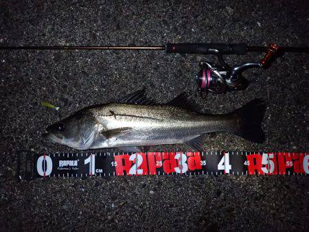 風＆ウネリに苦戦！