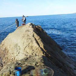 こんなん出ました・・・グレ